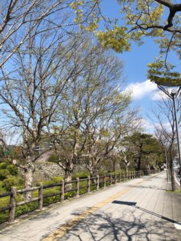 和歌山城は新緑の季節